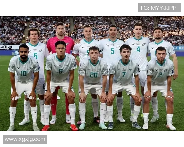 新西兰足球明星的国籍与成就揭秘及其对足球界的影响