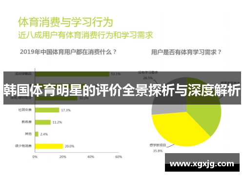 韩国体育明星的评价全景探析与深度解析